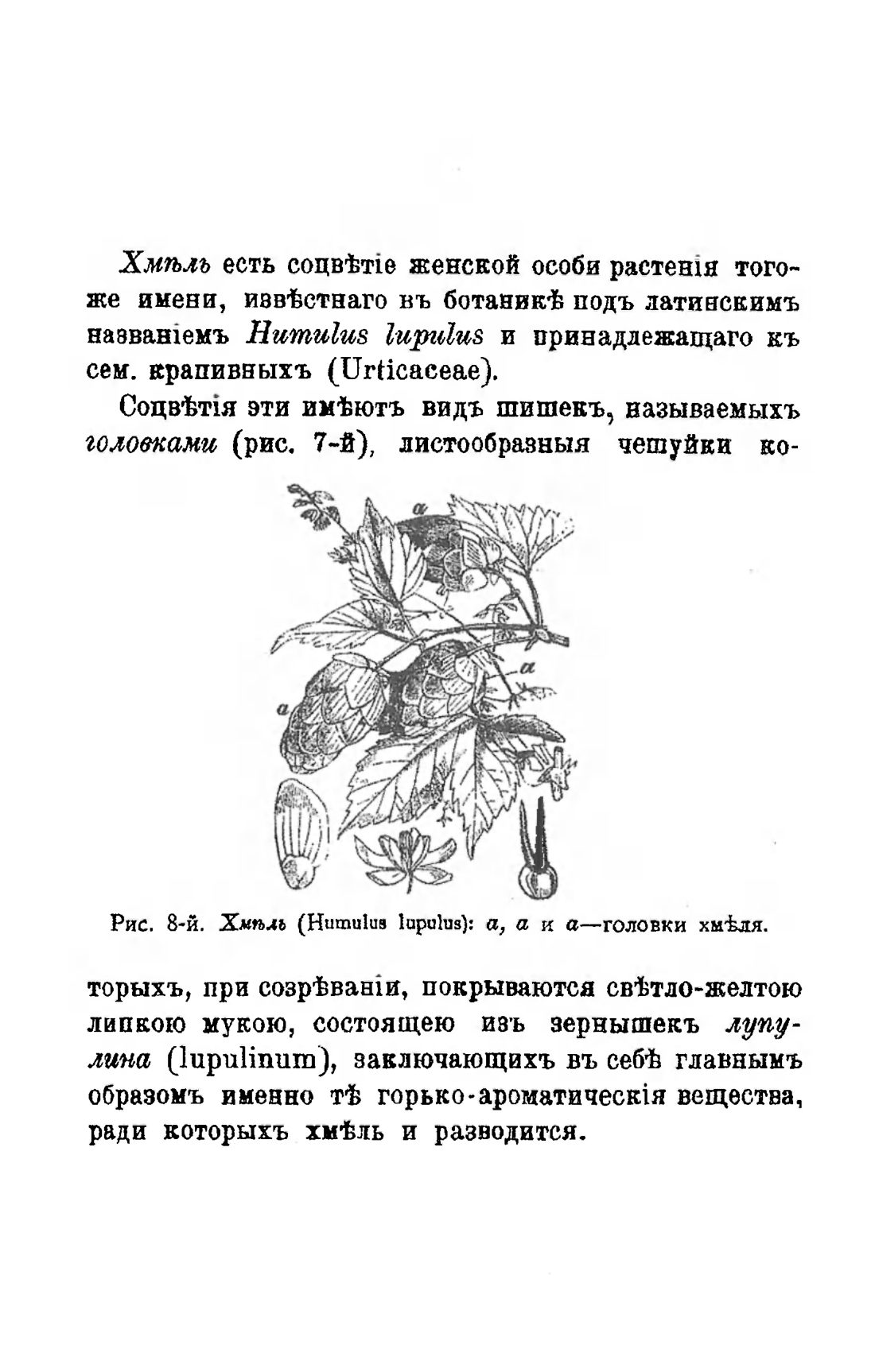 Скан страницы 69 книги «Пивоварение, квасоварение и медоварение»