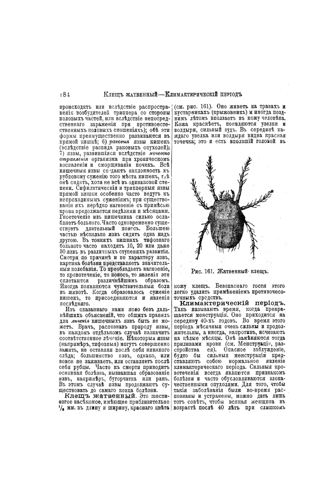 Скан страницы 182 книги «Домашний лечебник»