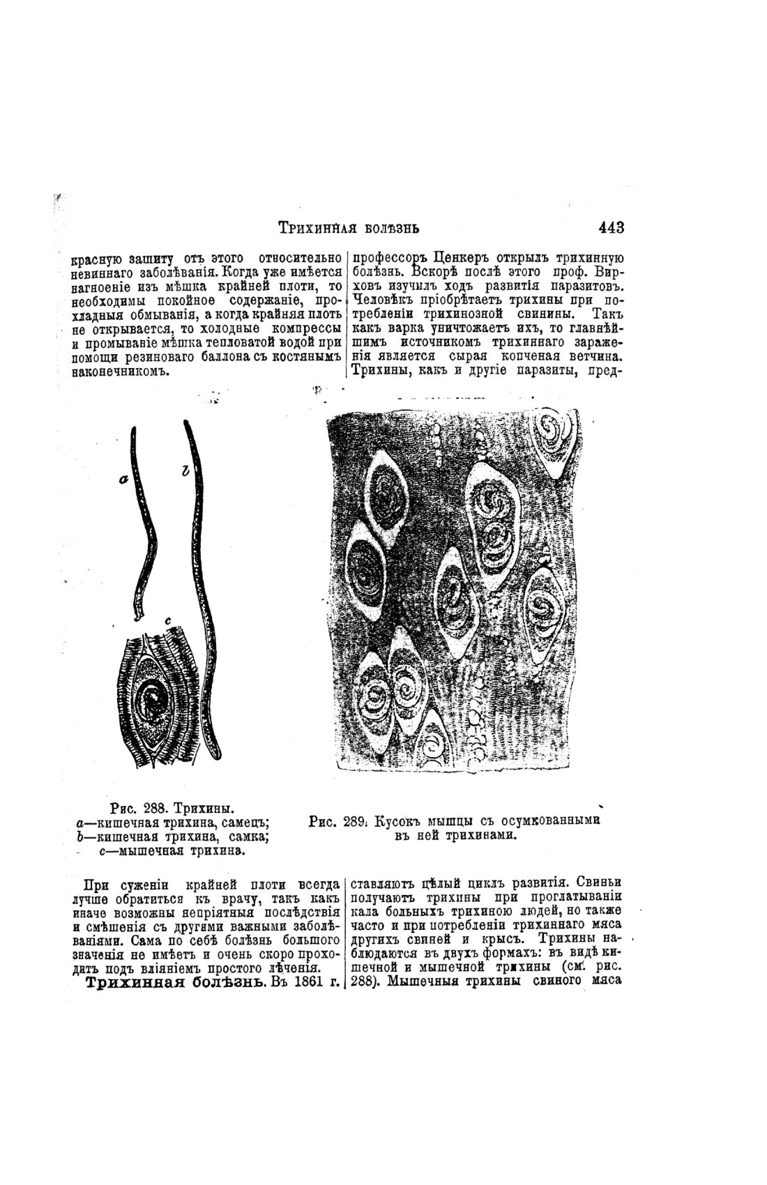 Скан страницы 443 книги «Домашний лечебник»
