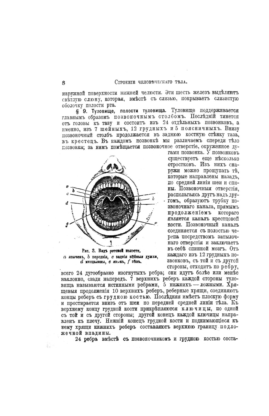 Скан страницы 488 книги «Домашний лечебник»