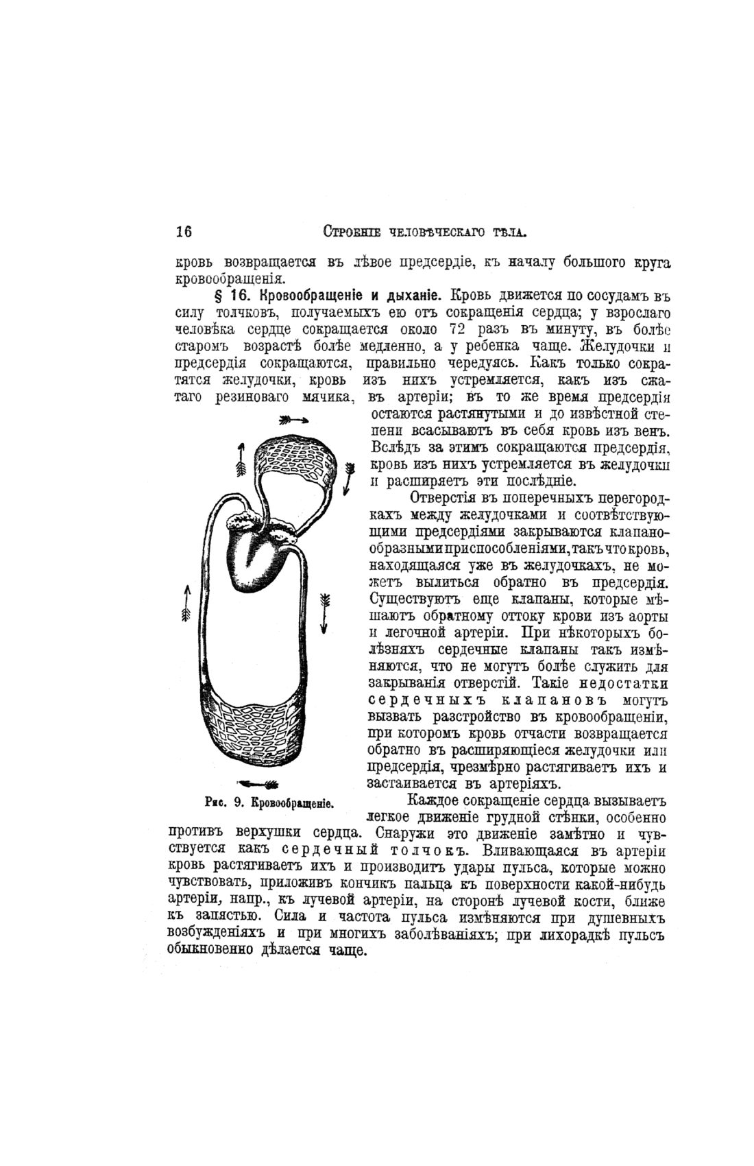 Скан страницы 496 книги «Домашний лечебник»