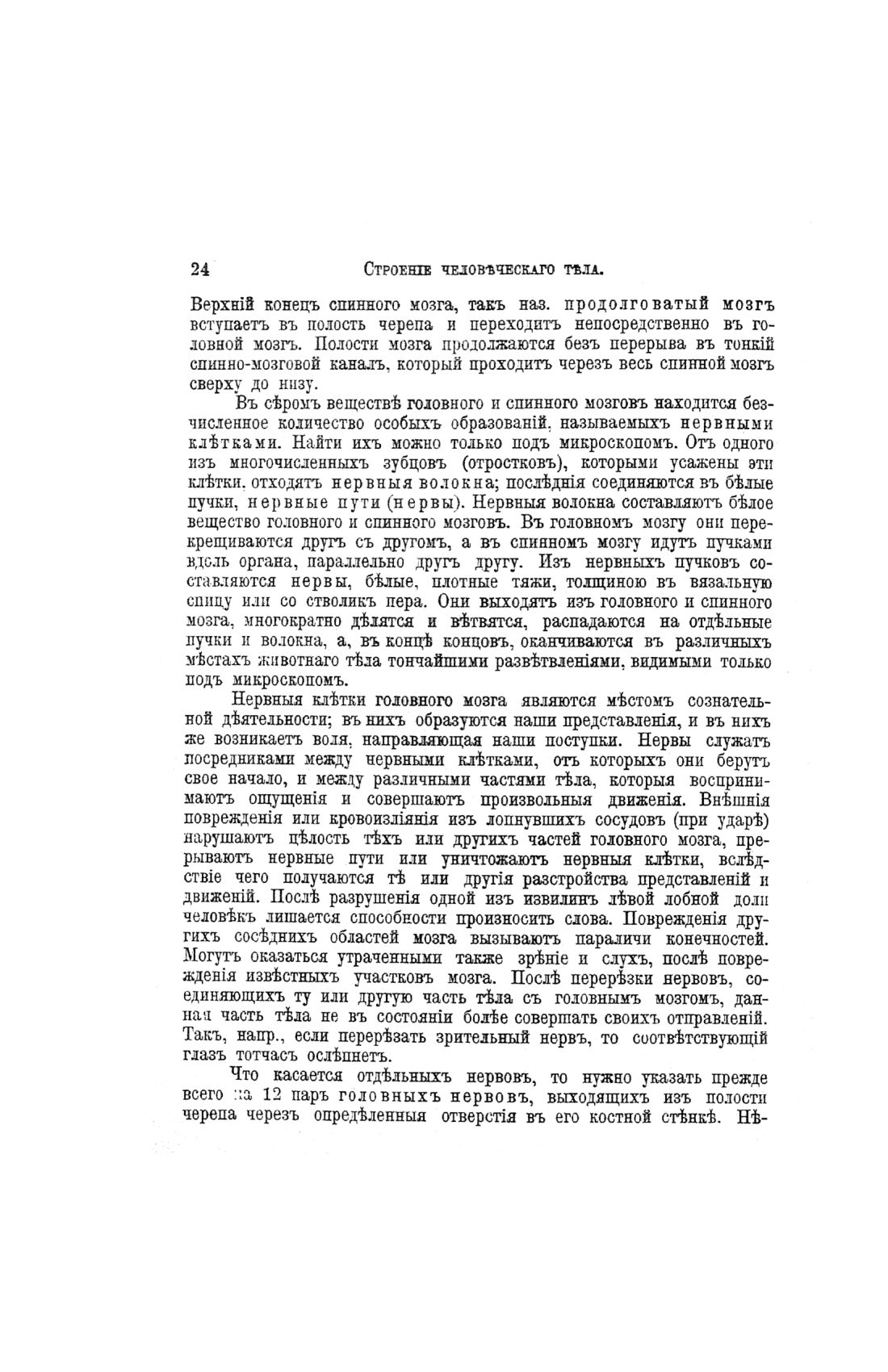 Скан страницы 504 книги «Домашний лечебник»