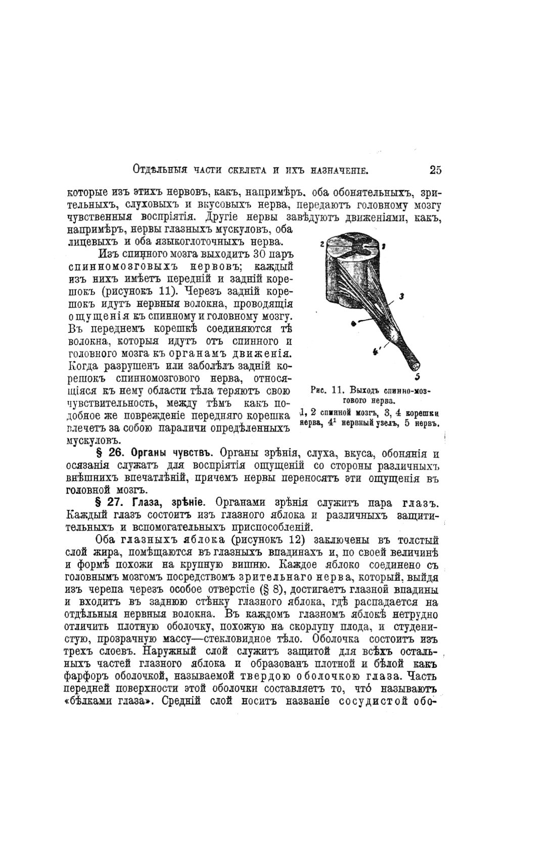Скан страницы 505 книги «Домашний лечебник»