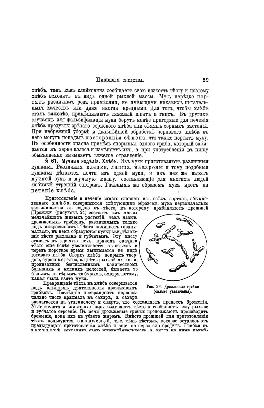 Скан страницы 539 книги «Домашний лечебник»