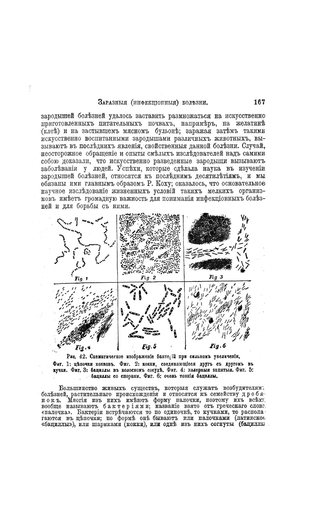 Скан страницы 645 книги «Домашний лечебник»