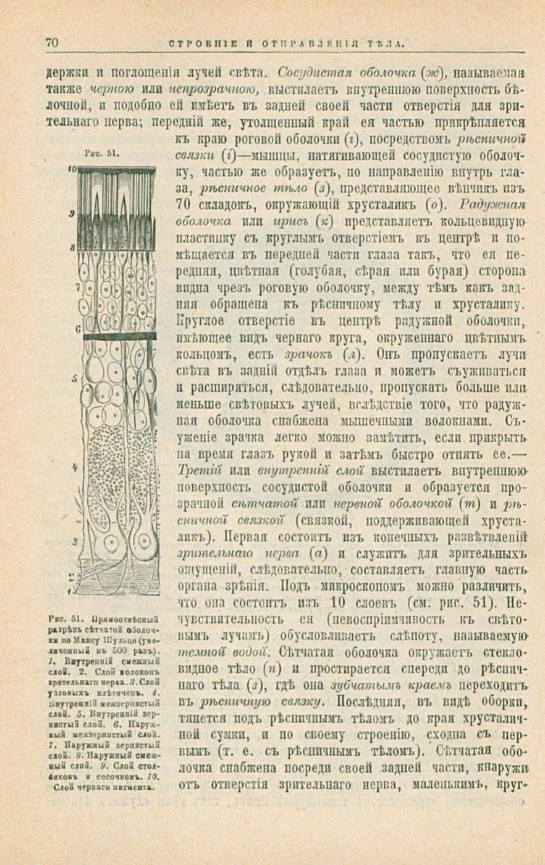 Скан страницы 104 книги «Школа здоровья (Домашний лечебник)»