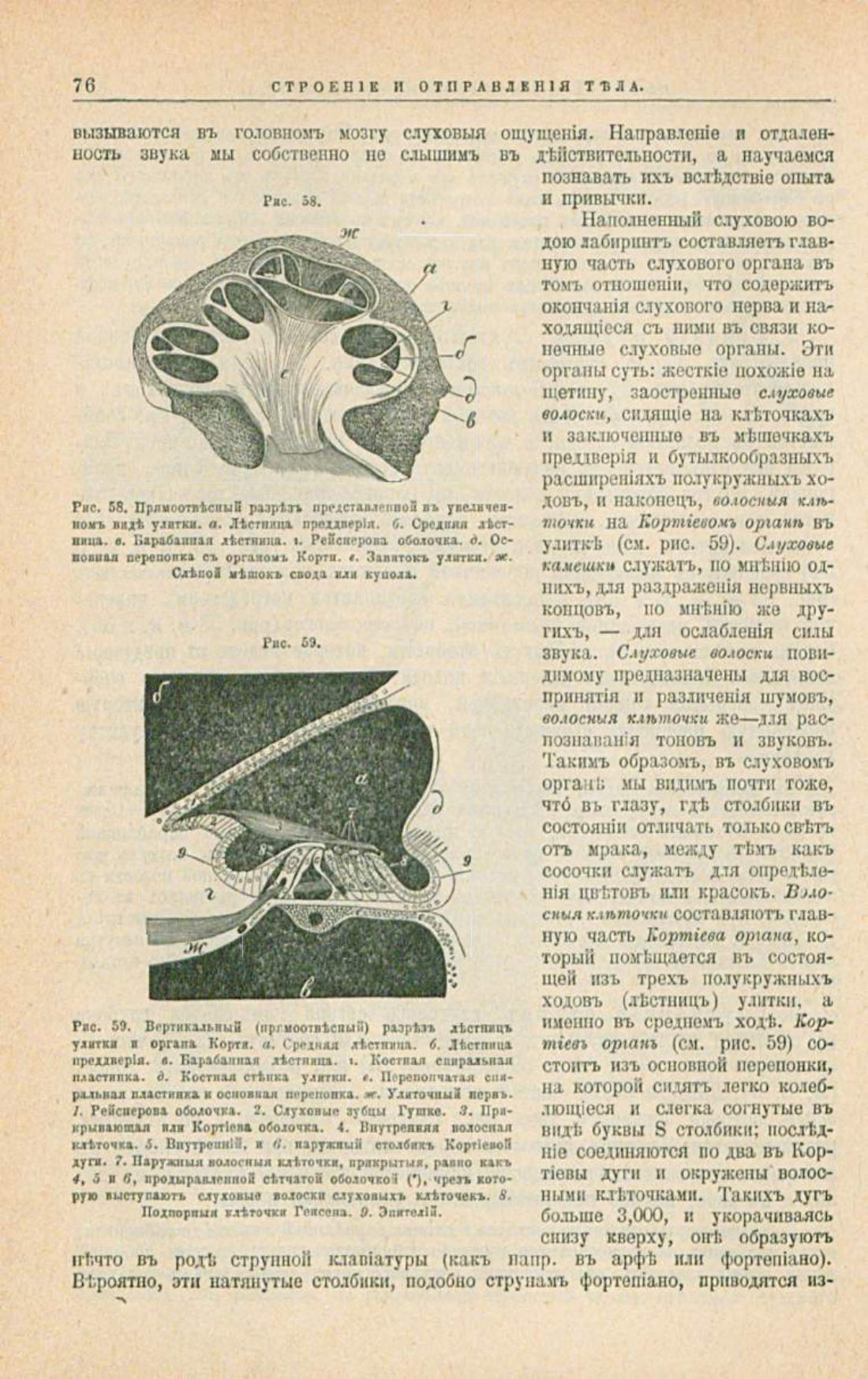Скан страницы 110 книги «Школа здоровья (Домашний лечебник)»