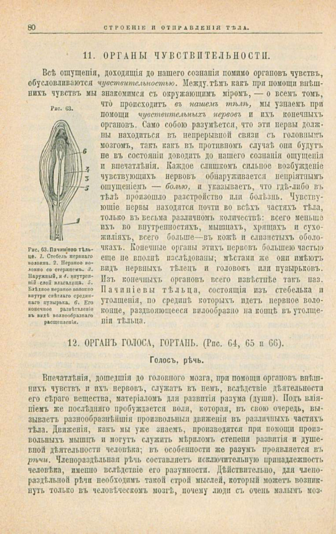 Скан страницы 114 книги «Школа здоровья (Домашний лечебник)»
