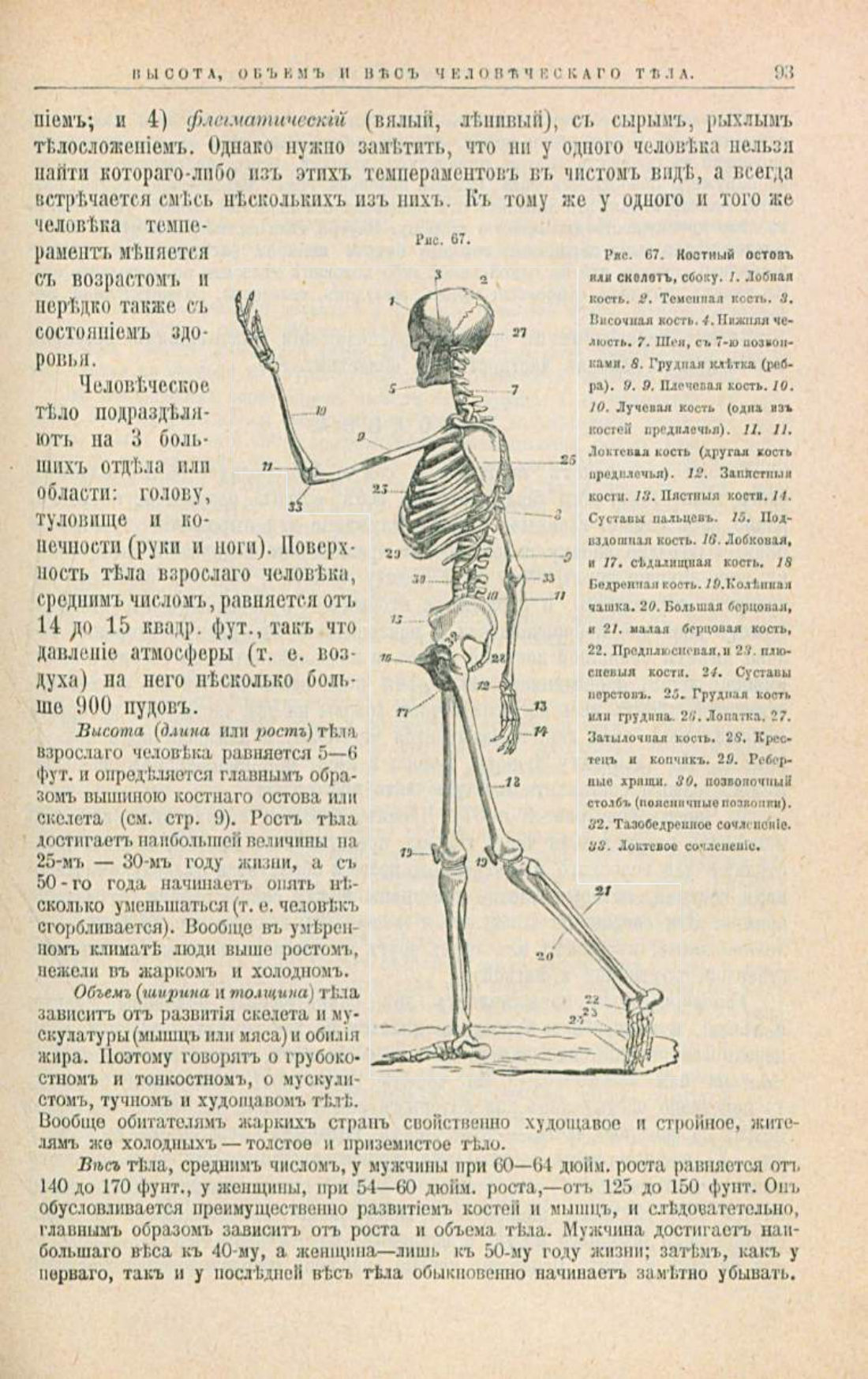 Скан страницы 127 книги «Школа здоровья (Домашний лечебник)»