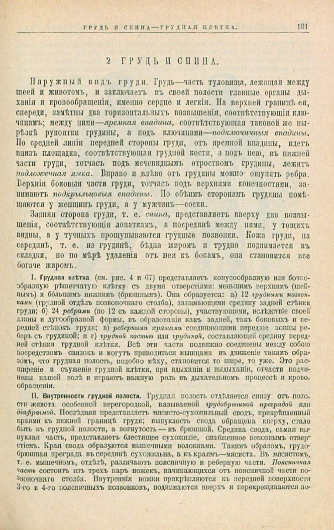 Скан страницы 135 книги «Школа здоровья (Домашний лечебник)»