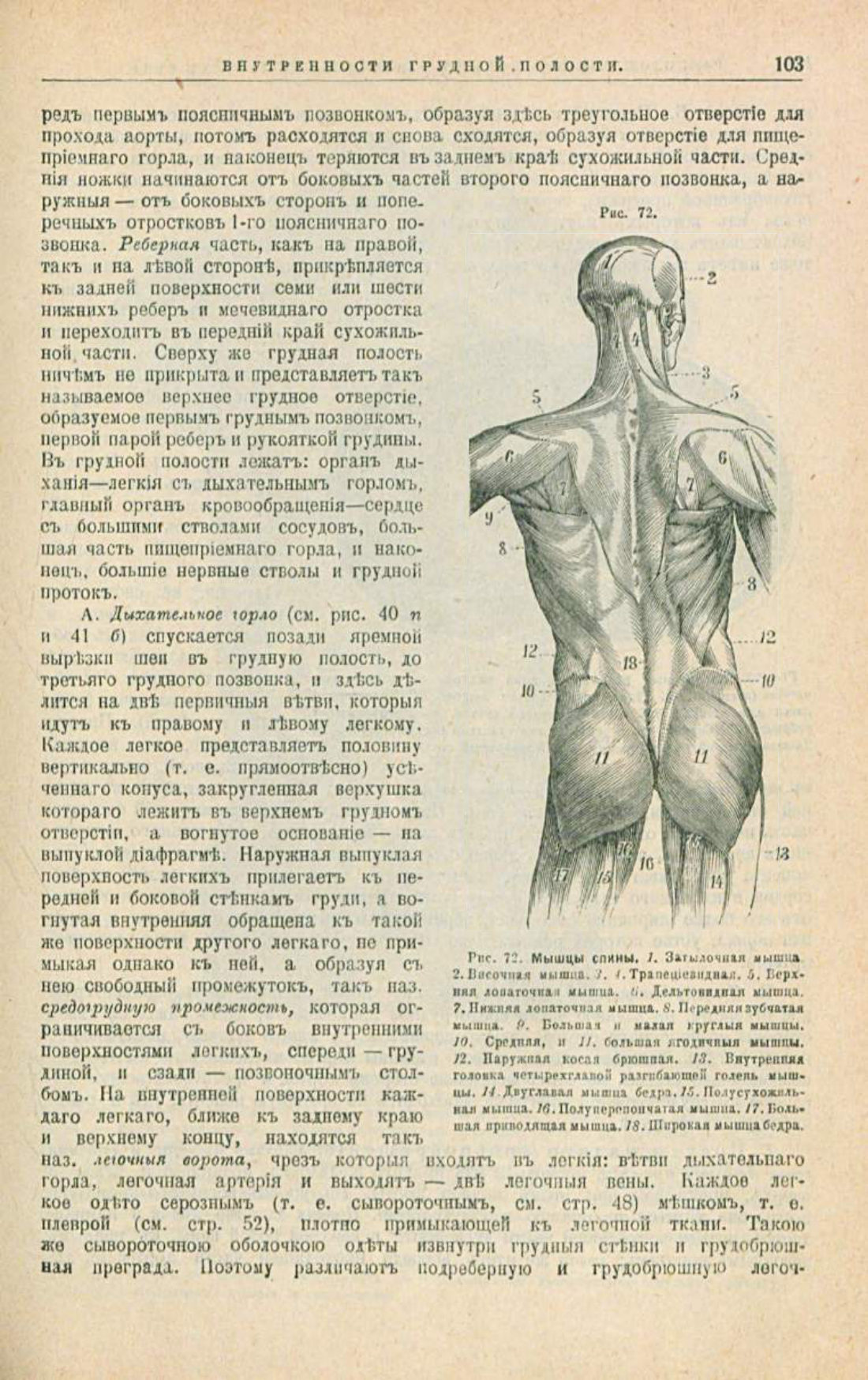 Скан страницы 137 книги «Школа здоровья (Домашний лечебник)»