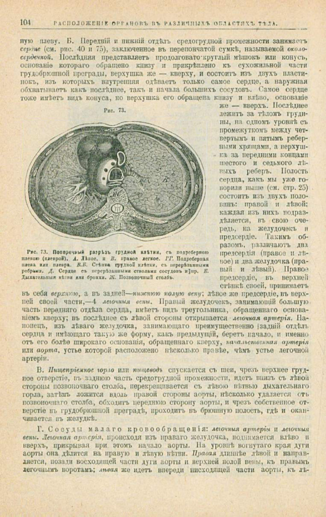 Скан страницы 138 книги «Школа здоровья (Домашний лечебник)»