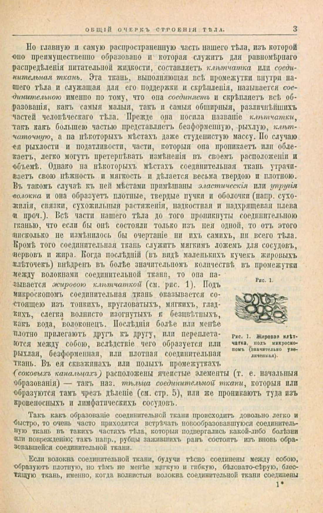 Скан страницы 37 книги «Школа здоровья (Домашний лечебник)»