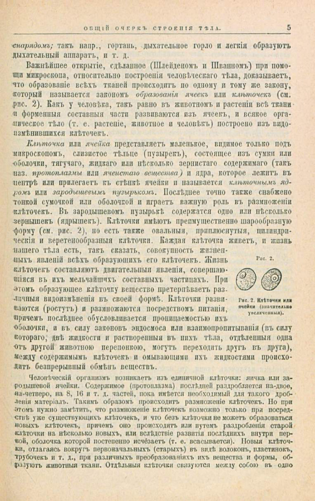 Скан страницы 39 книги «Школа здоровья (Домашний лечебник)»