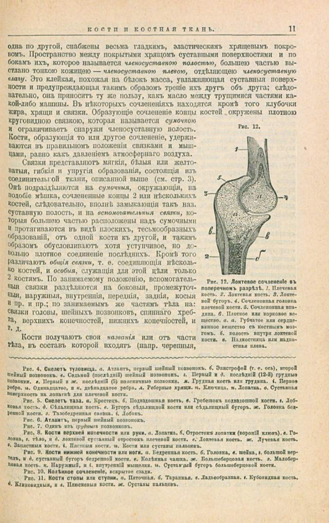 Скан страницы 45 книги «Школа здоровья (Домашний лечебник)»