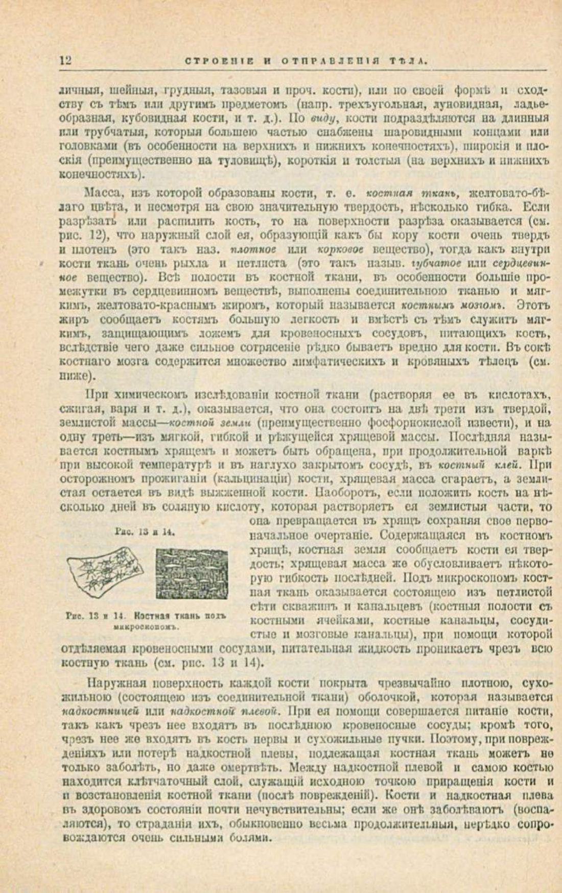 Скан страницы 46 книги «Школа здоровья (Домашний лечебник)»