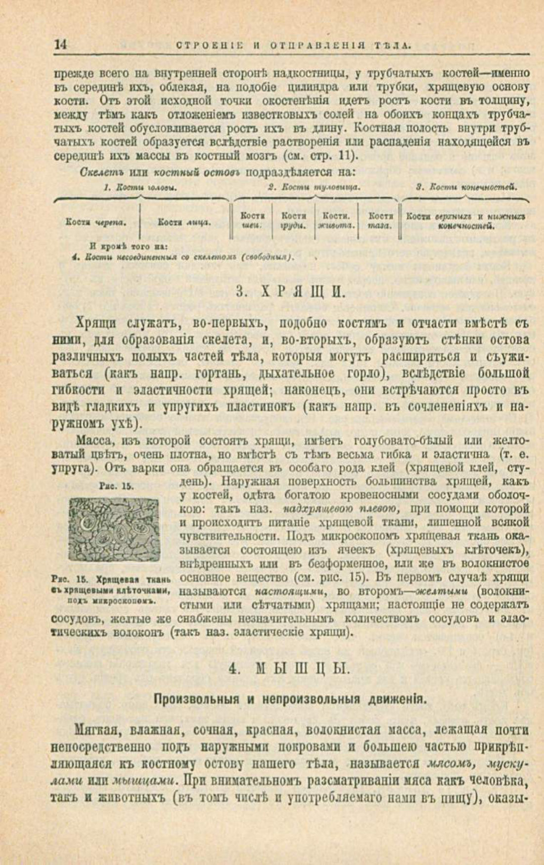 Скан страницы 48 книги «Школа здоровья (Домашний лечебник)»