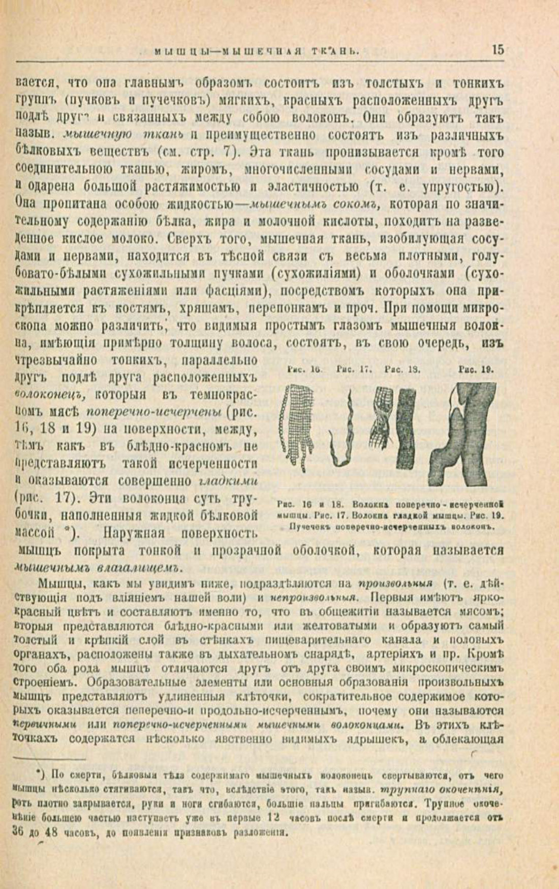 Скан страницы 49 книги «Школа здоровья (Домашний лечебник)»