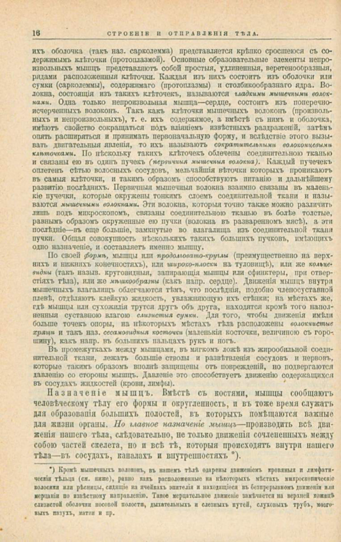 Скан страницы 50 книги «Школа здоровья (Домашний лечебник)»