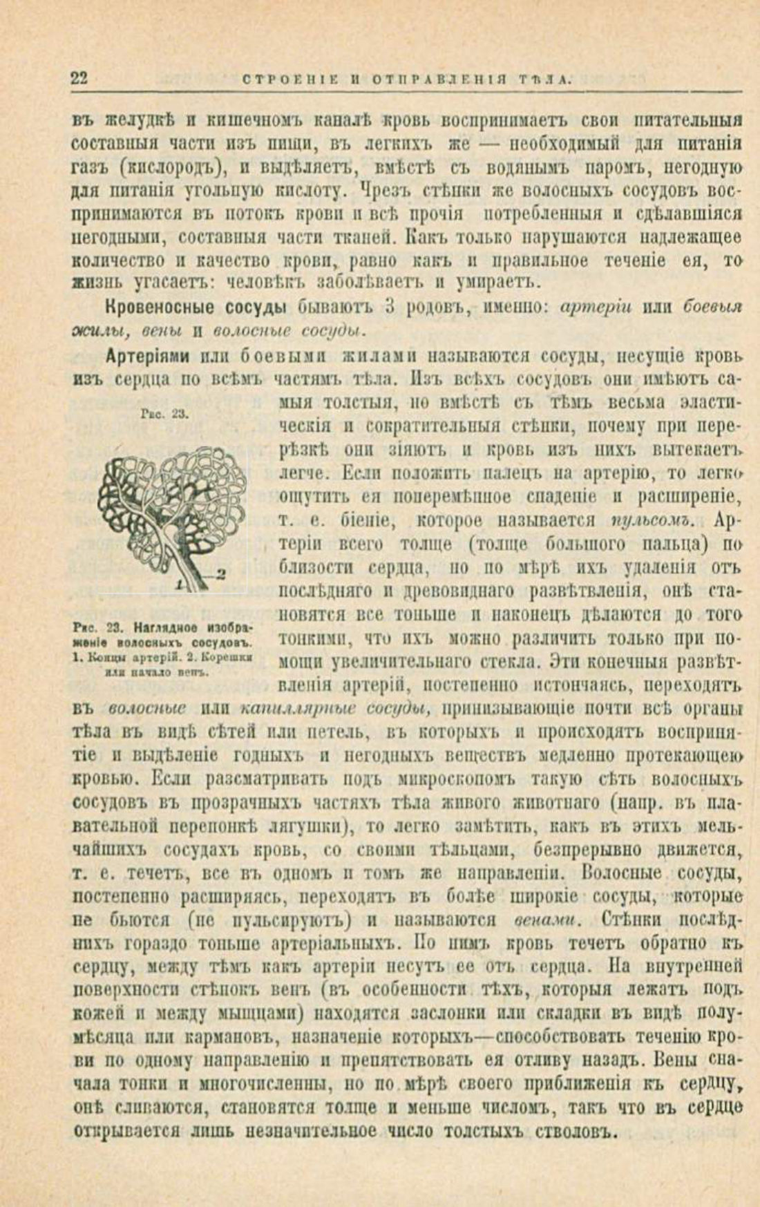 Скан страницы 56 книги «Школа здоровья (Домашний лечебник)»
