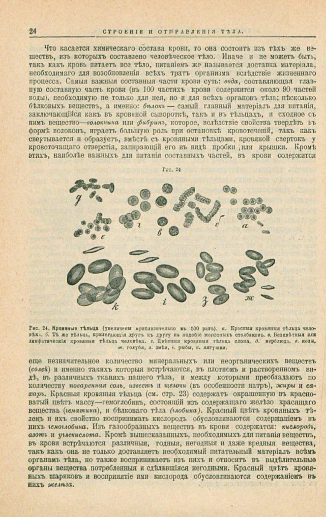 Скан страницы 58 книги «Школа здоровья (Домашний лечебник)»