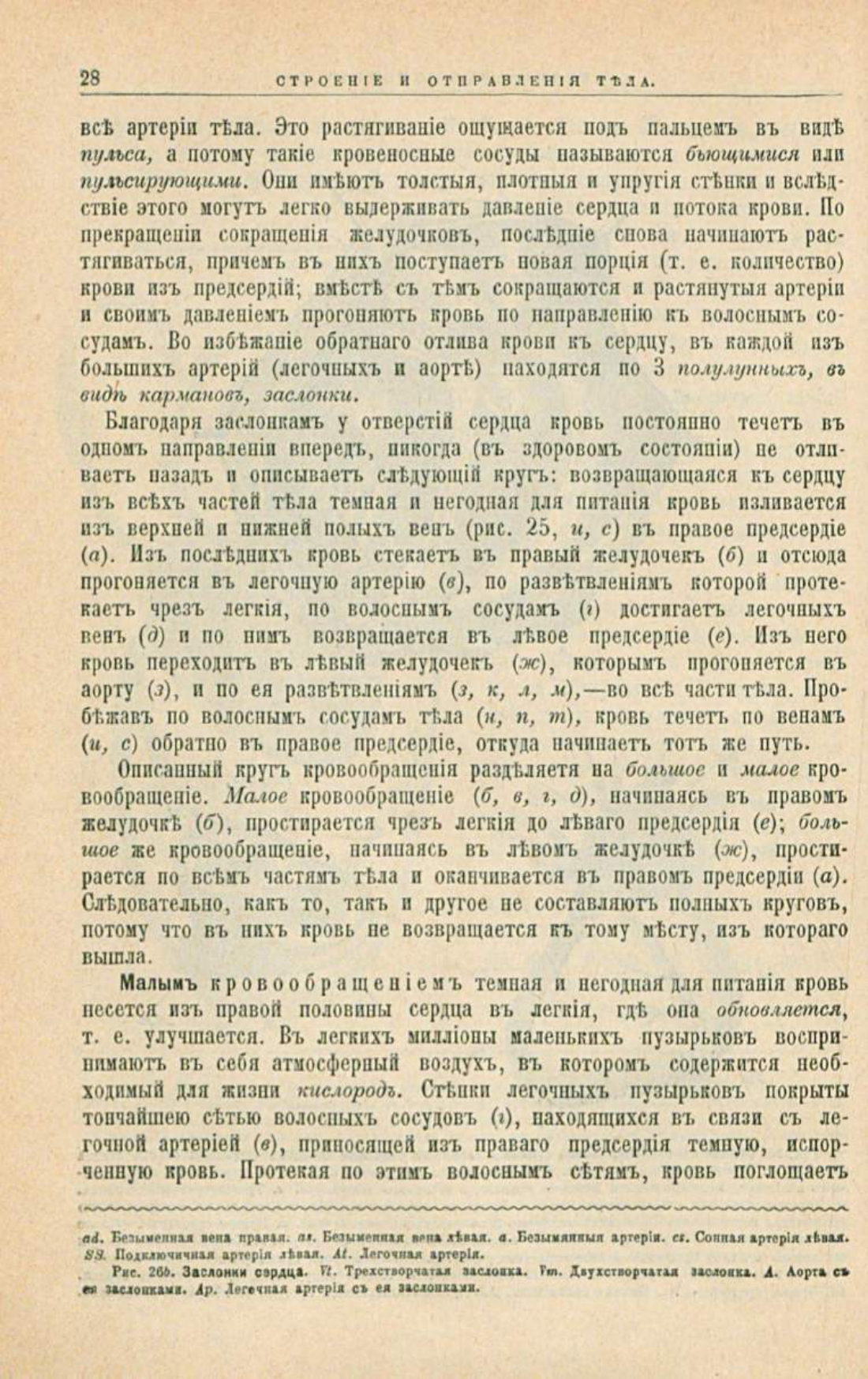 Скан страницы 62 книги «Школа здоровья (Домашний лечебник)»