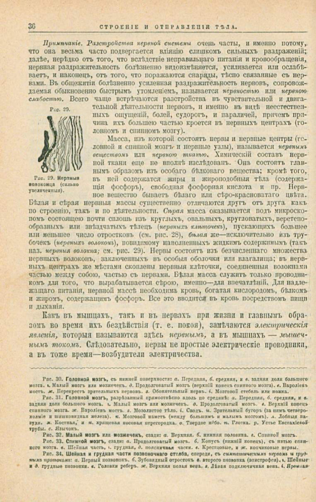 Скан страницы 70 книги «Школа здоровья (Домашний лечебник)»