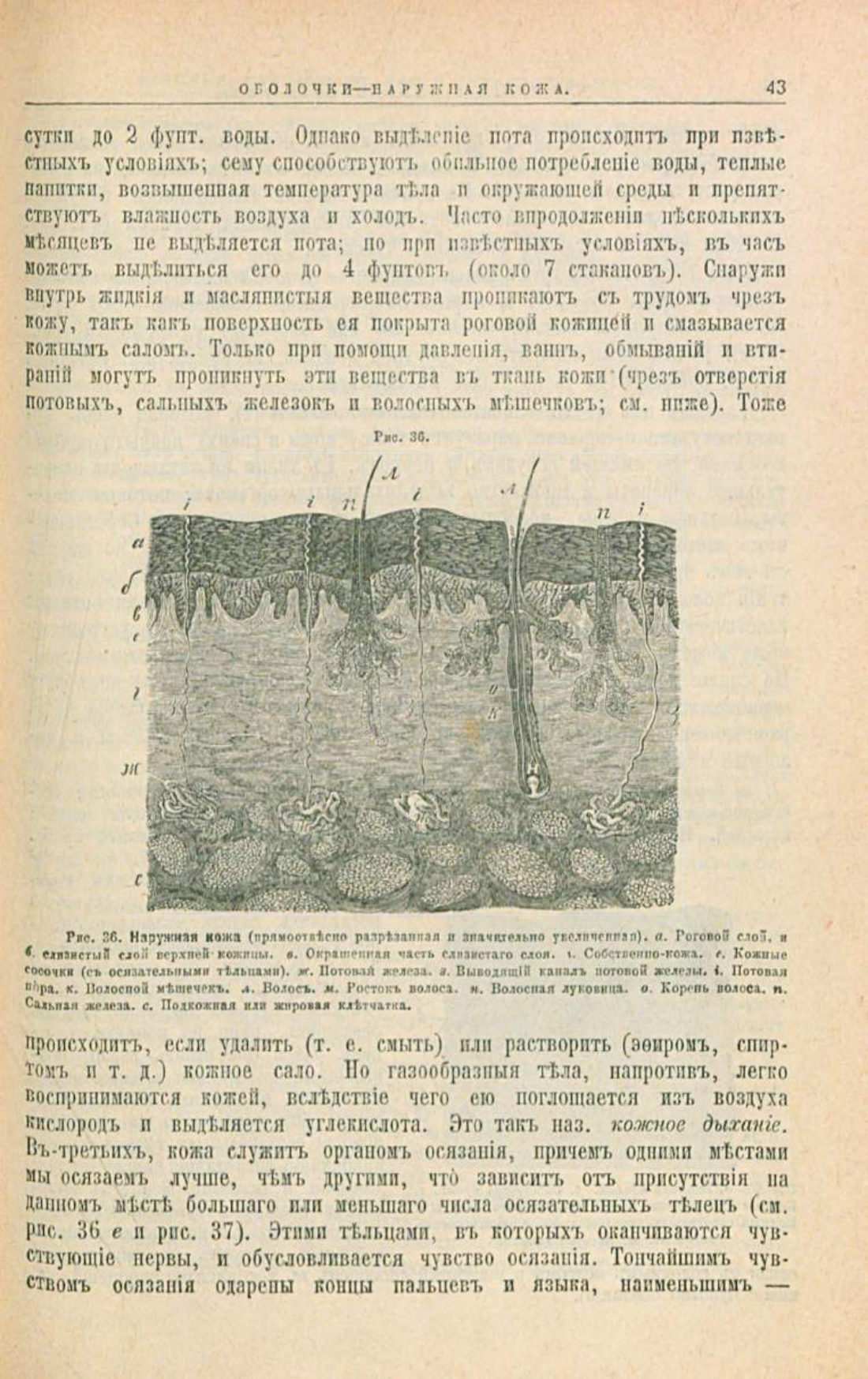 Скан страницы 77 книги «Школа здоровья (Домашний лечебник)»