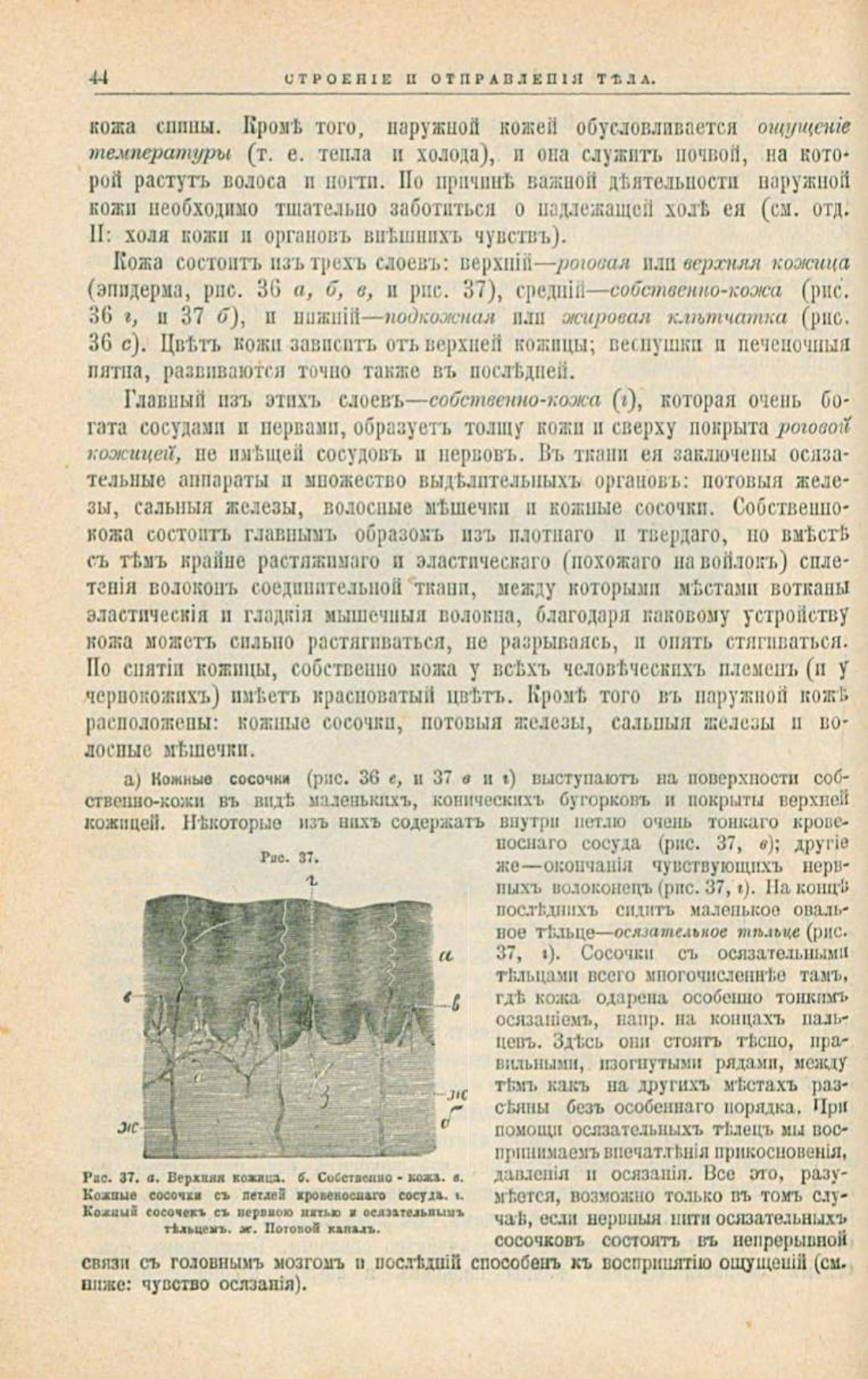 Скан страницы 78 книги «Школа здоровья (Домашний лечебник)»