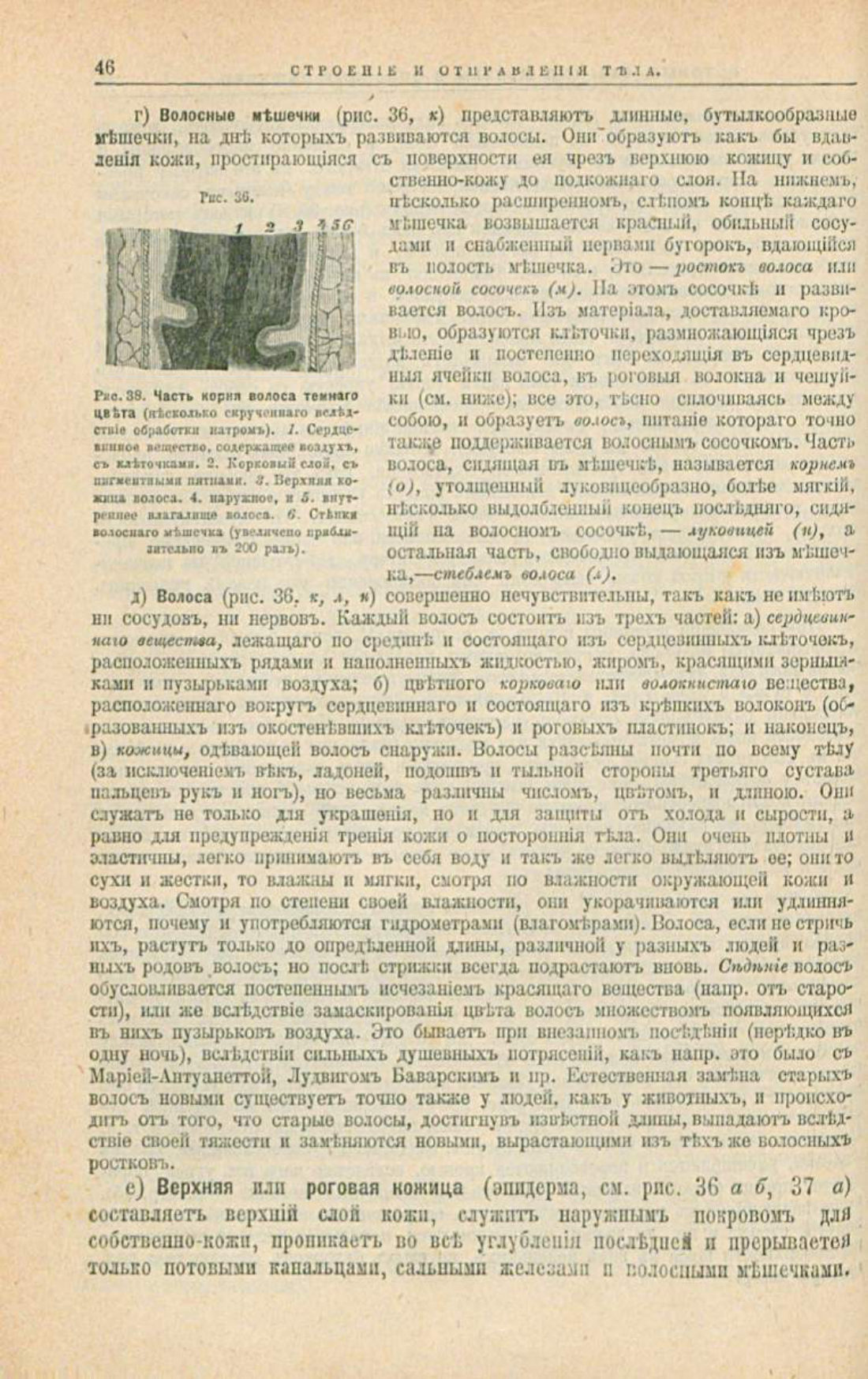 Скан страницы 80 книги «Школа здоровья (Домашний лечебник)»