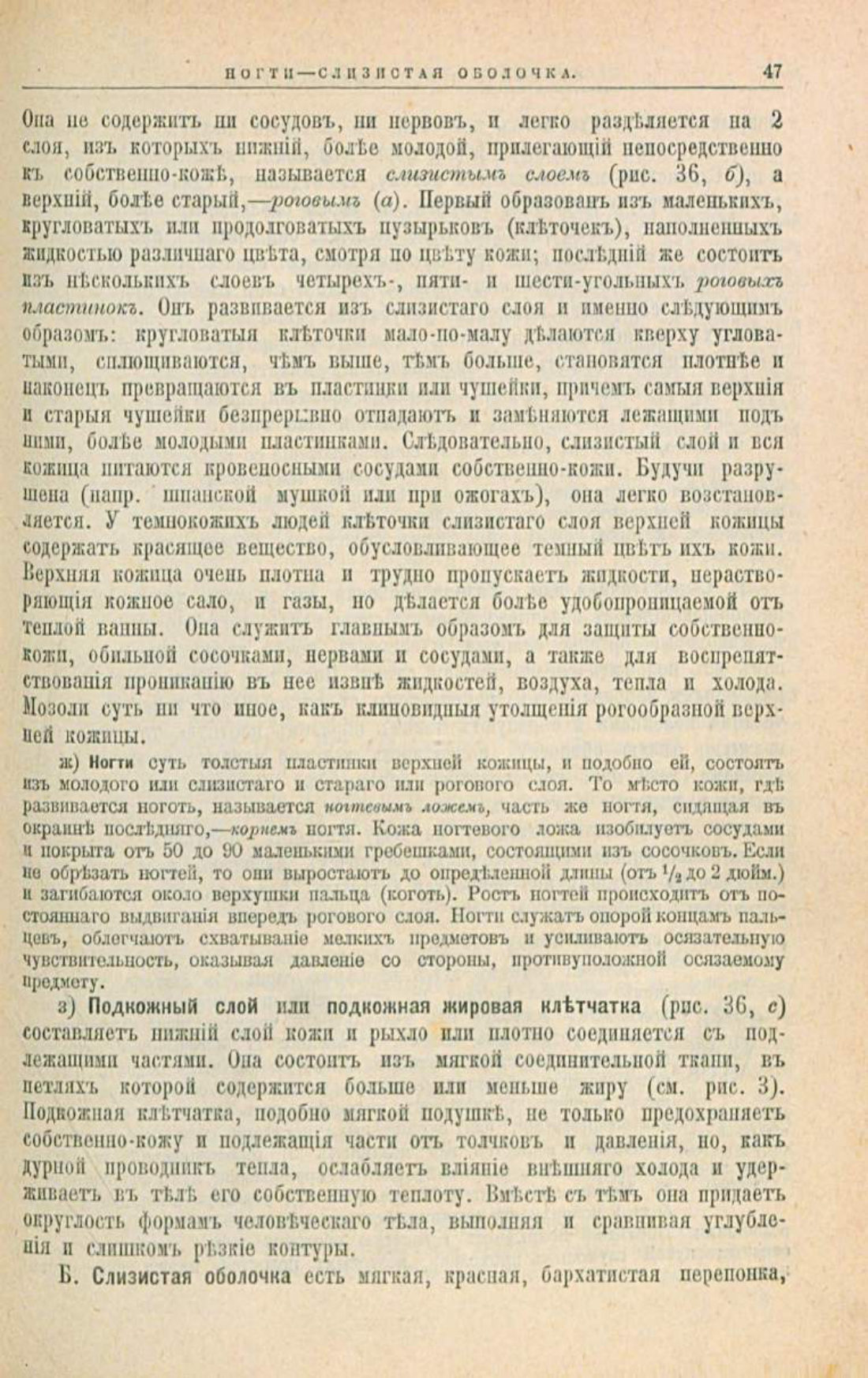 Скан страницы 81 книги «Школа здоровья (Домашний лечебник)»