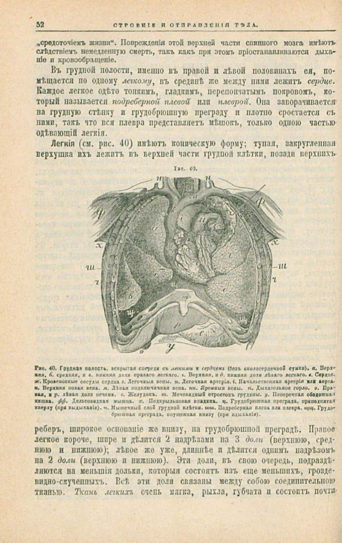 Скан страницы 86 книги «Школа здоровья (Домашний лечебник)»