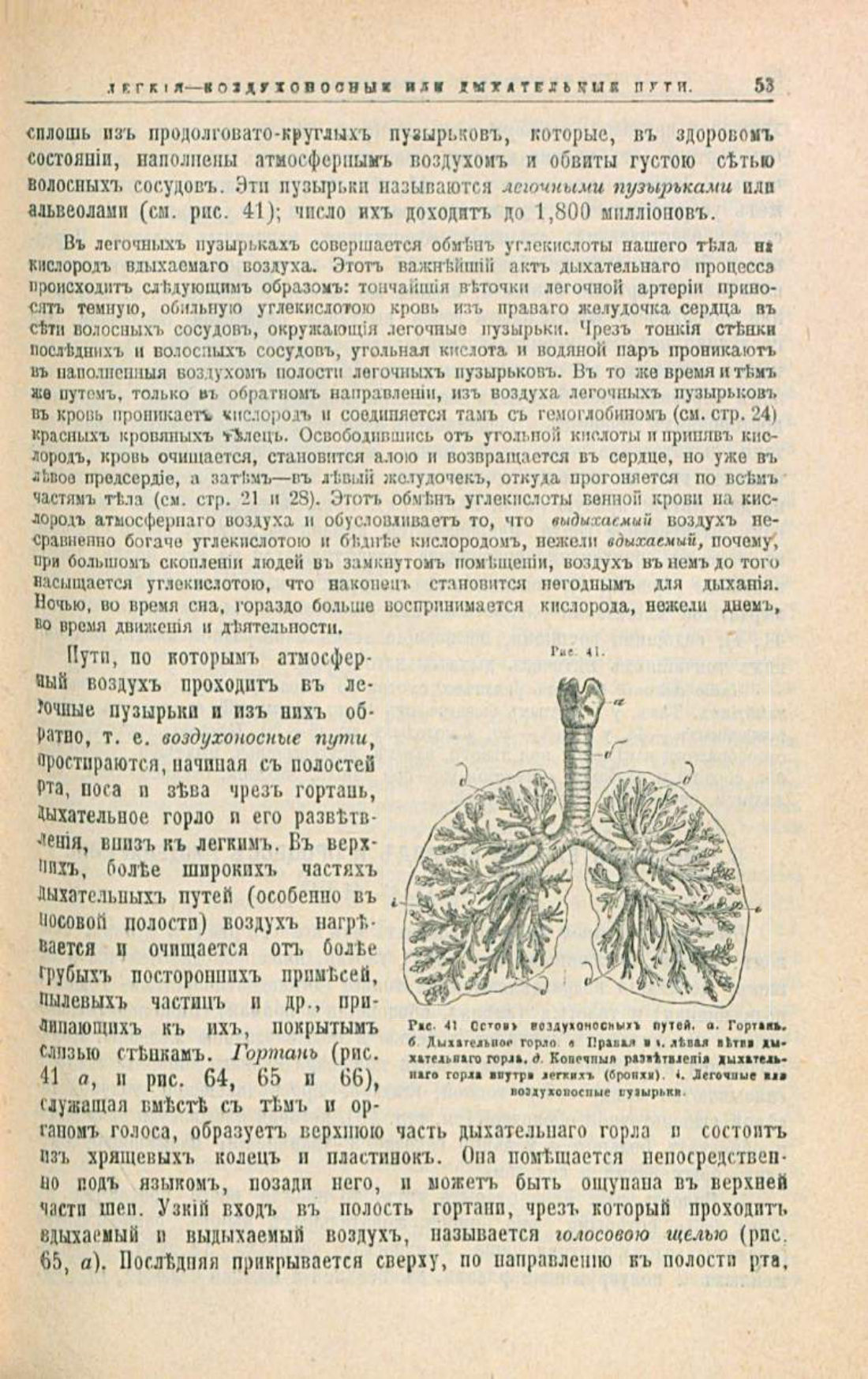 Скан страницы 87 книги «Школа здоровья (Домашний лечебник)»