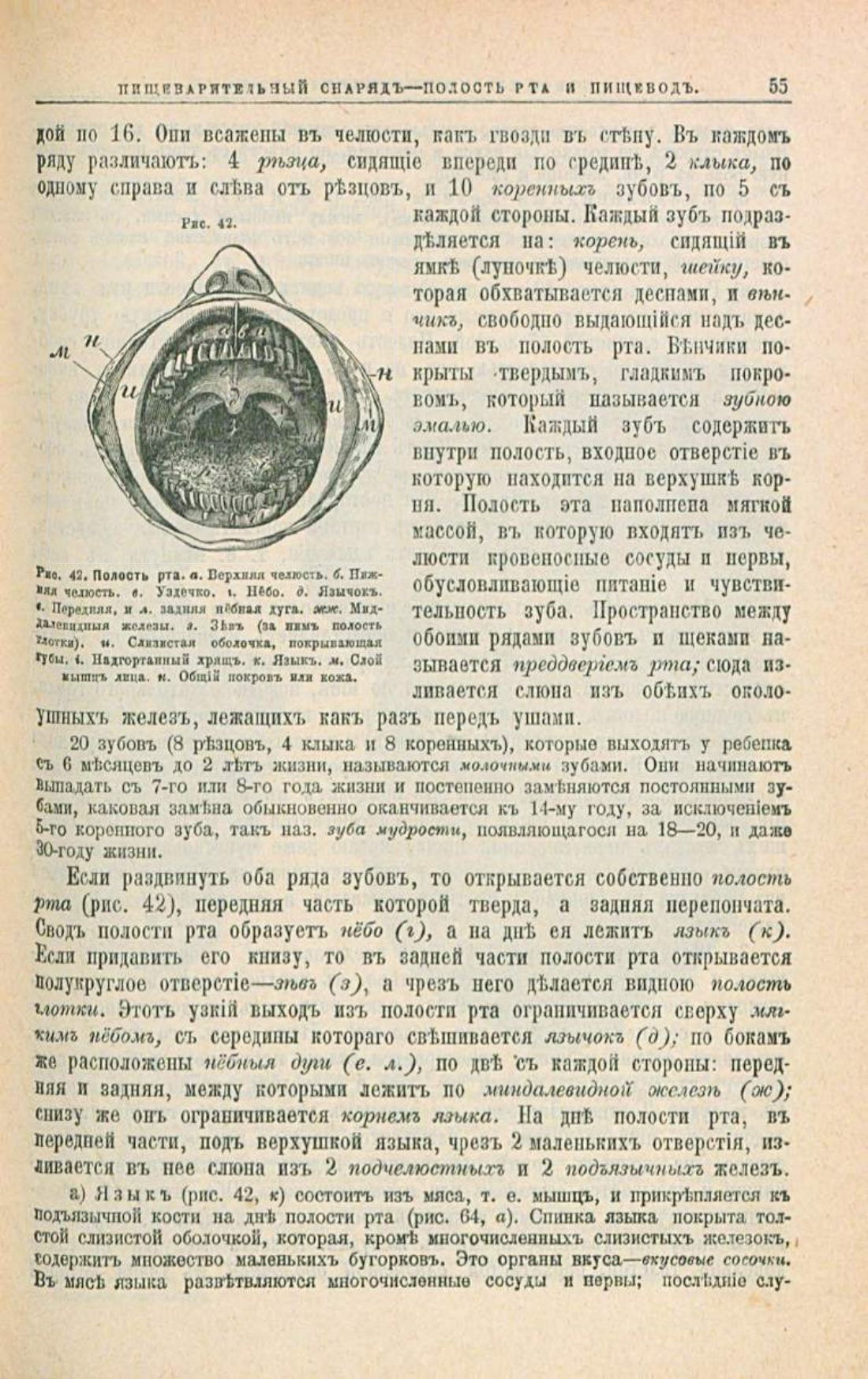 Скан страницы 89 книги «Школа здоровья (Домашний лечебник)»