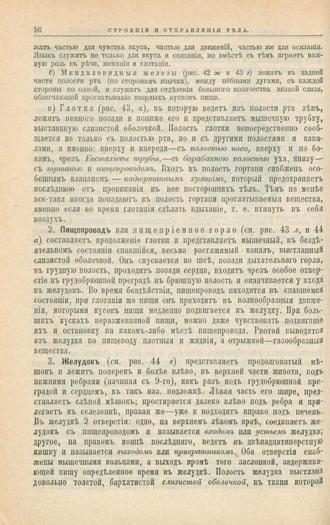 Скан страницы 90 книги «Школа здоровья (Домашний лечебник)»