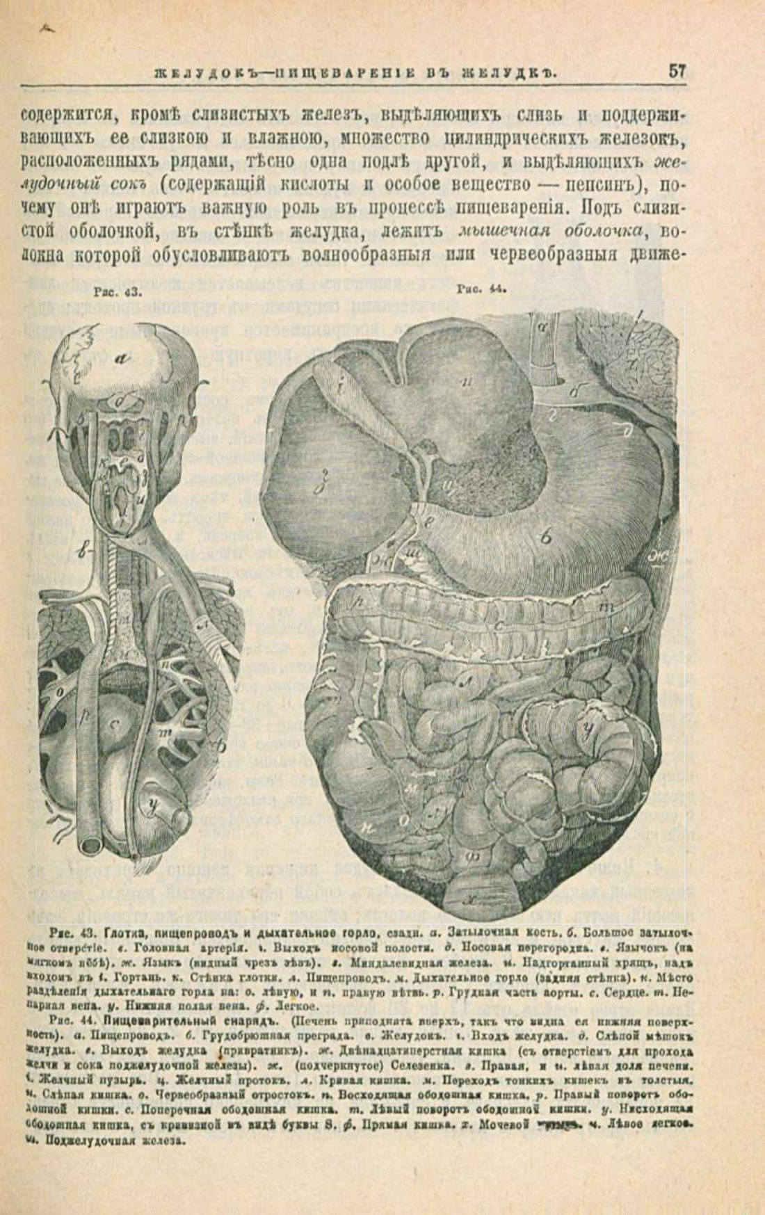 Скан страницы 91 книги «Школа здоровья (Домашний лечебник)»