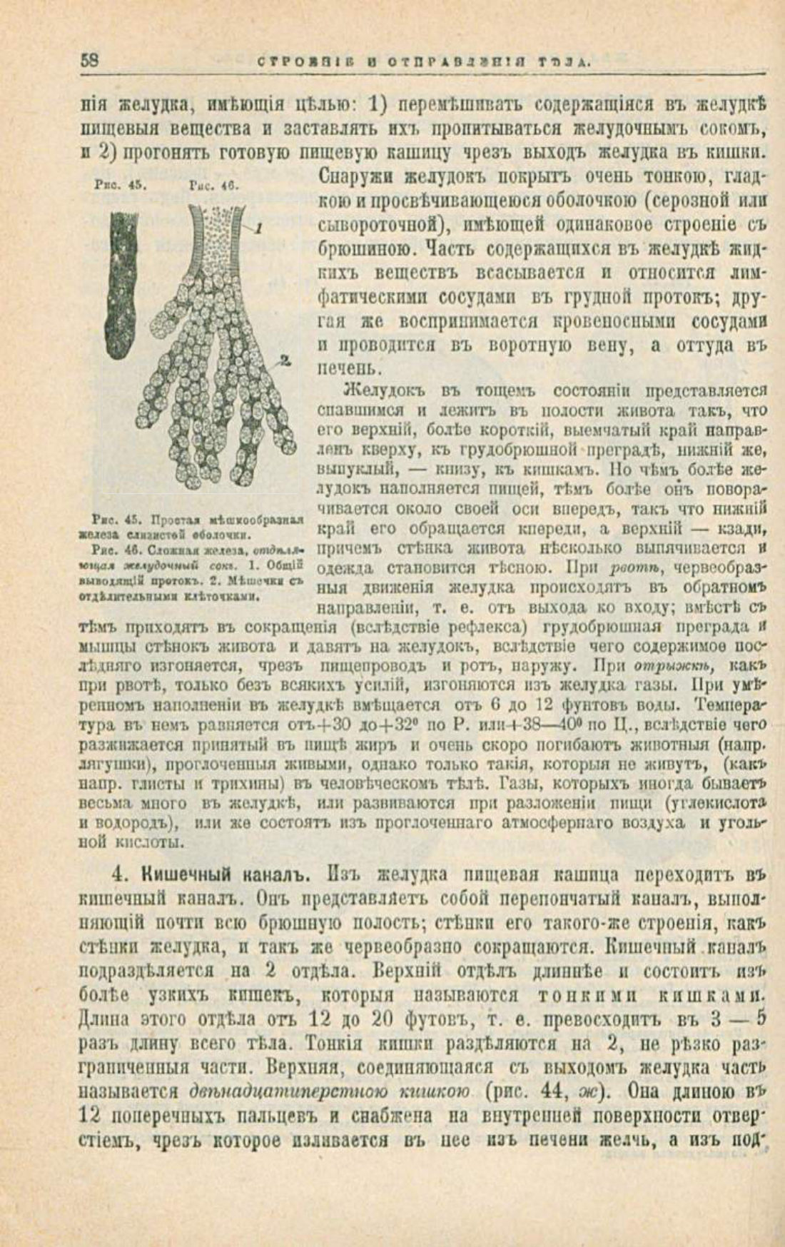 Скан страницы 92 книги «Школа здоровья (Домашний лечебник)»