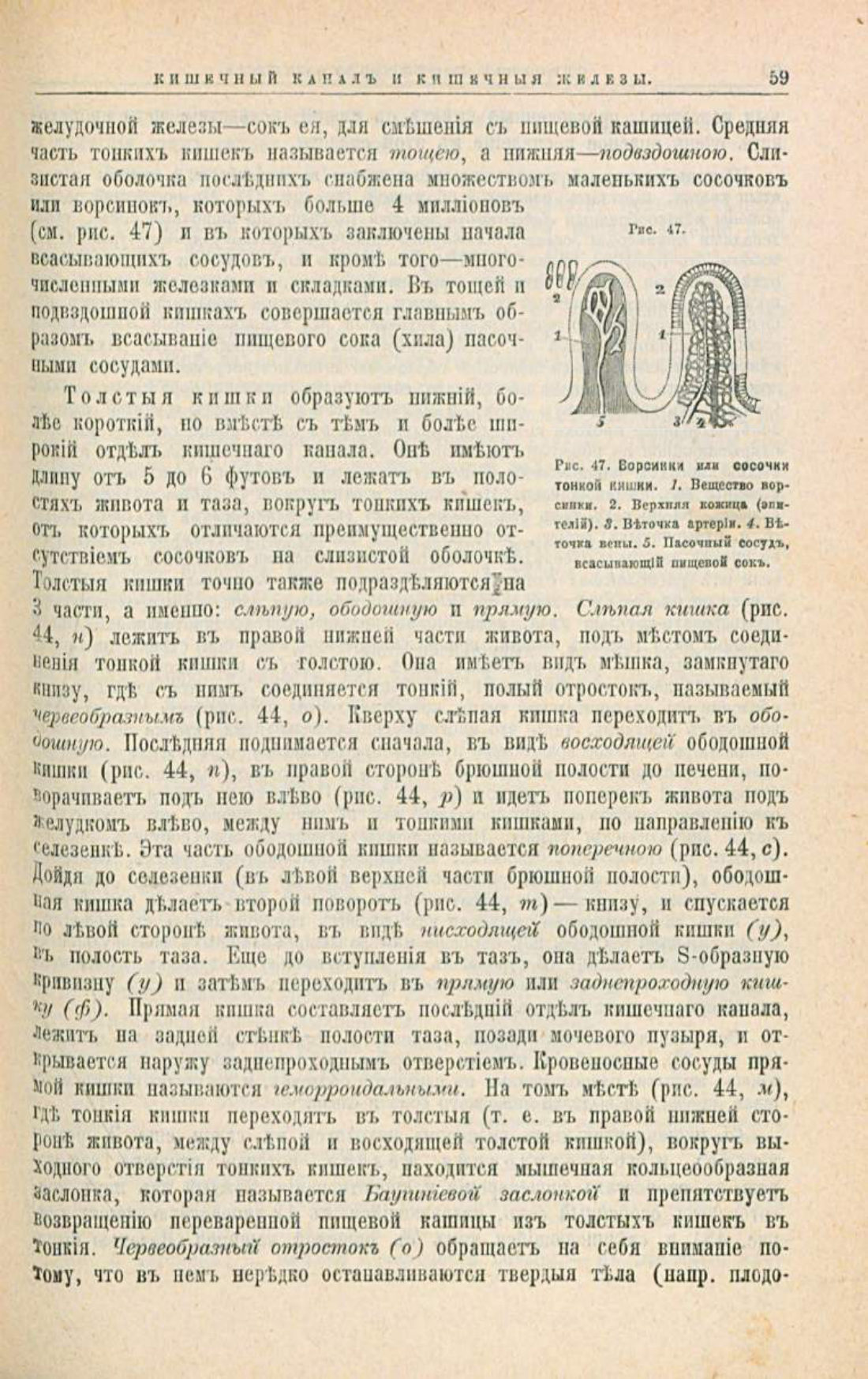 Скан страницы 93 книги «Школа здоровья (Домашний лечебник)»