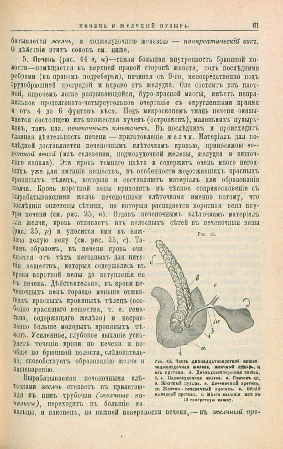 Скан страницы 95 книги «Школа здоровья (Домашний лечебник)»