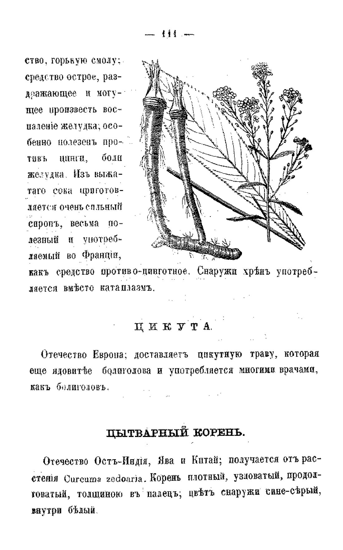 Скан страницы 113 книги «Царство лекарственных трав»