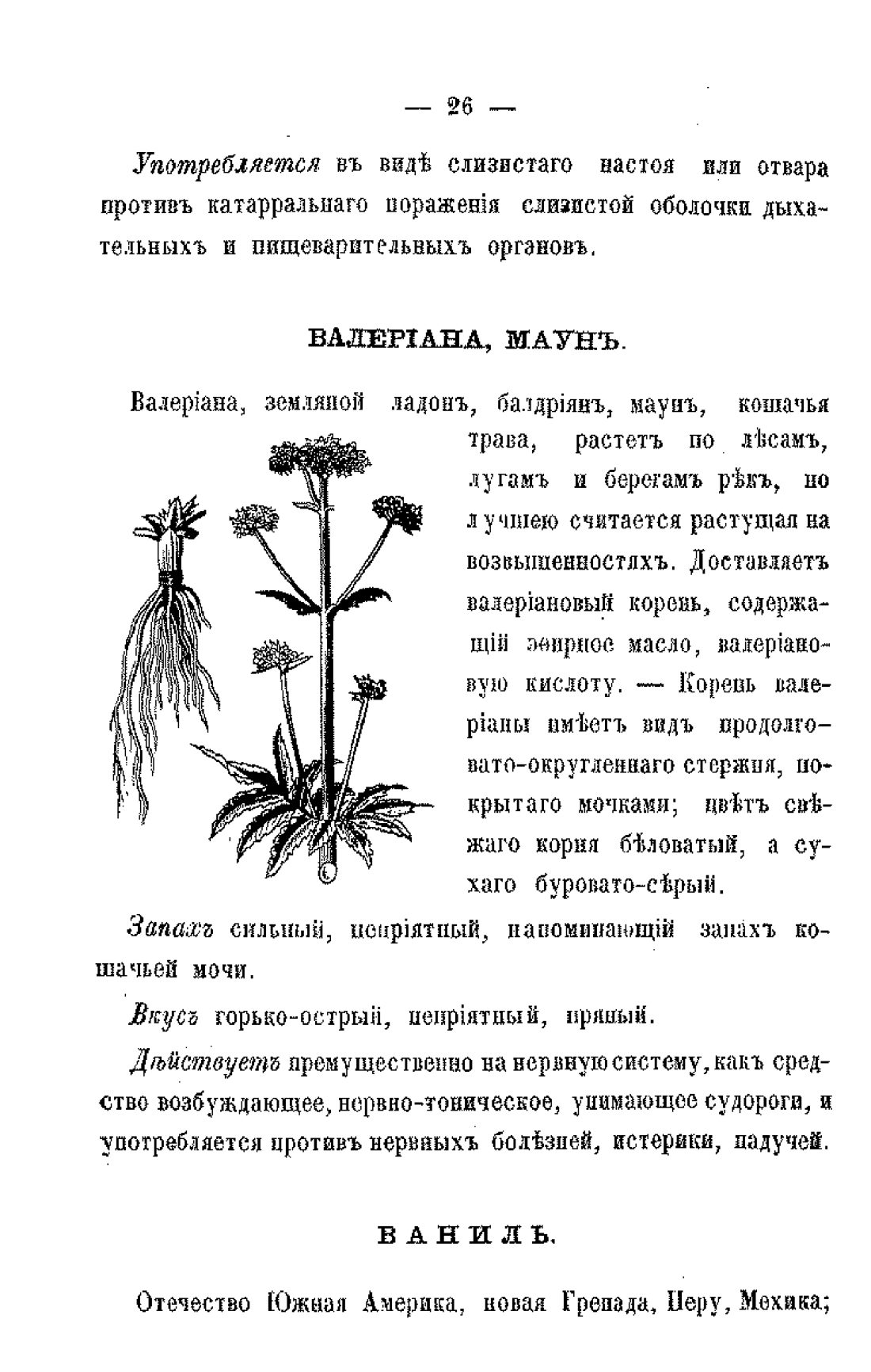 Скан страницы 28 книги «Царство лекарственных трав»