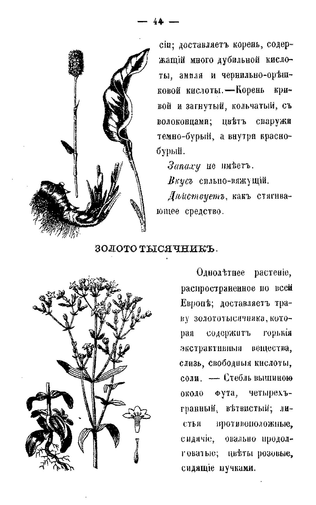 Скан страницы 46 книги «Царство лекарственных трав»