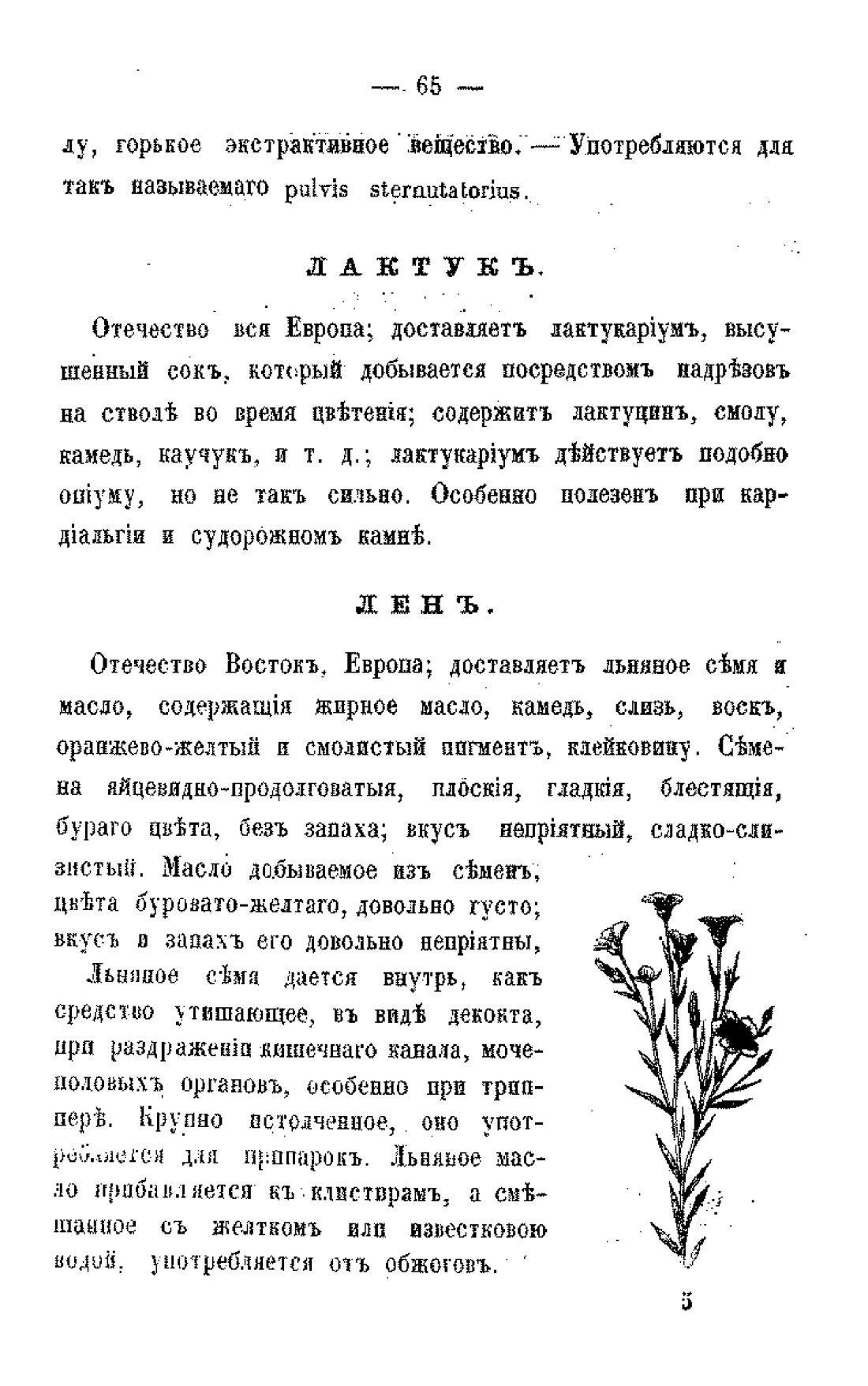 Скан страницы 67 книги «Царство лекарственных трав»