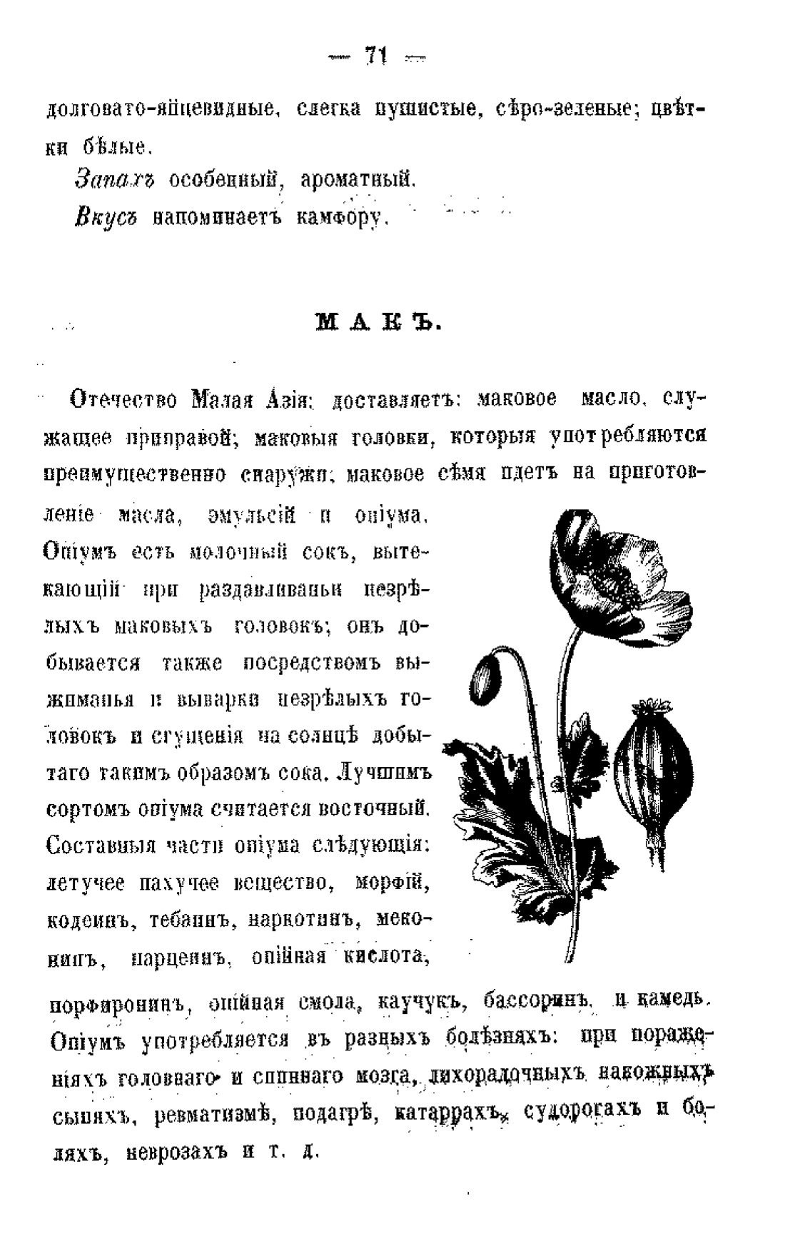 Скан страницы 73 книги «Царство лекарственных трав»