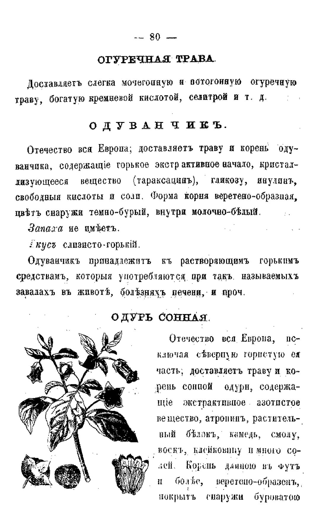 Скан страницы 82 книги «Царство лекарственных трав»