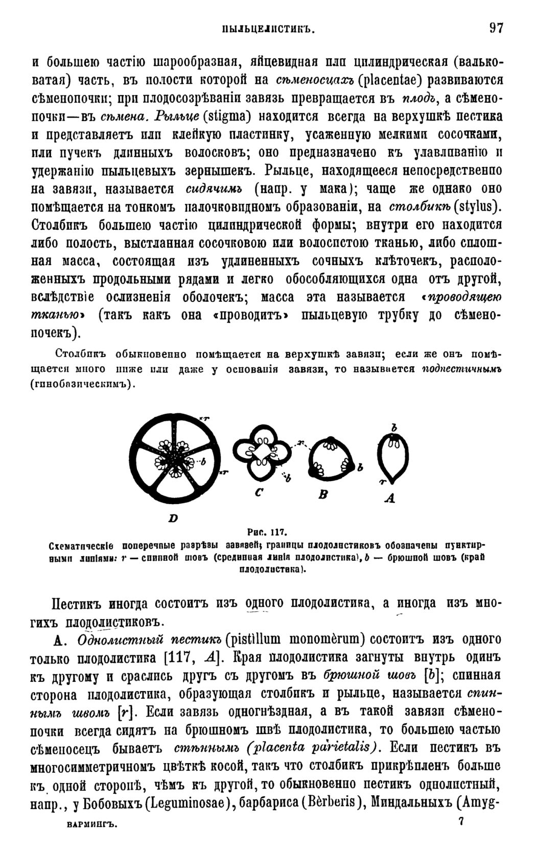 Скан страницы 100 книги «Систематика растений. Часть 1»