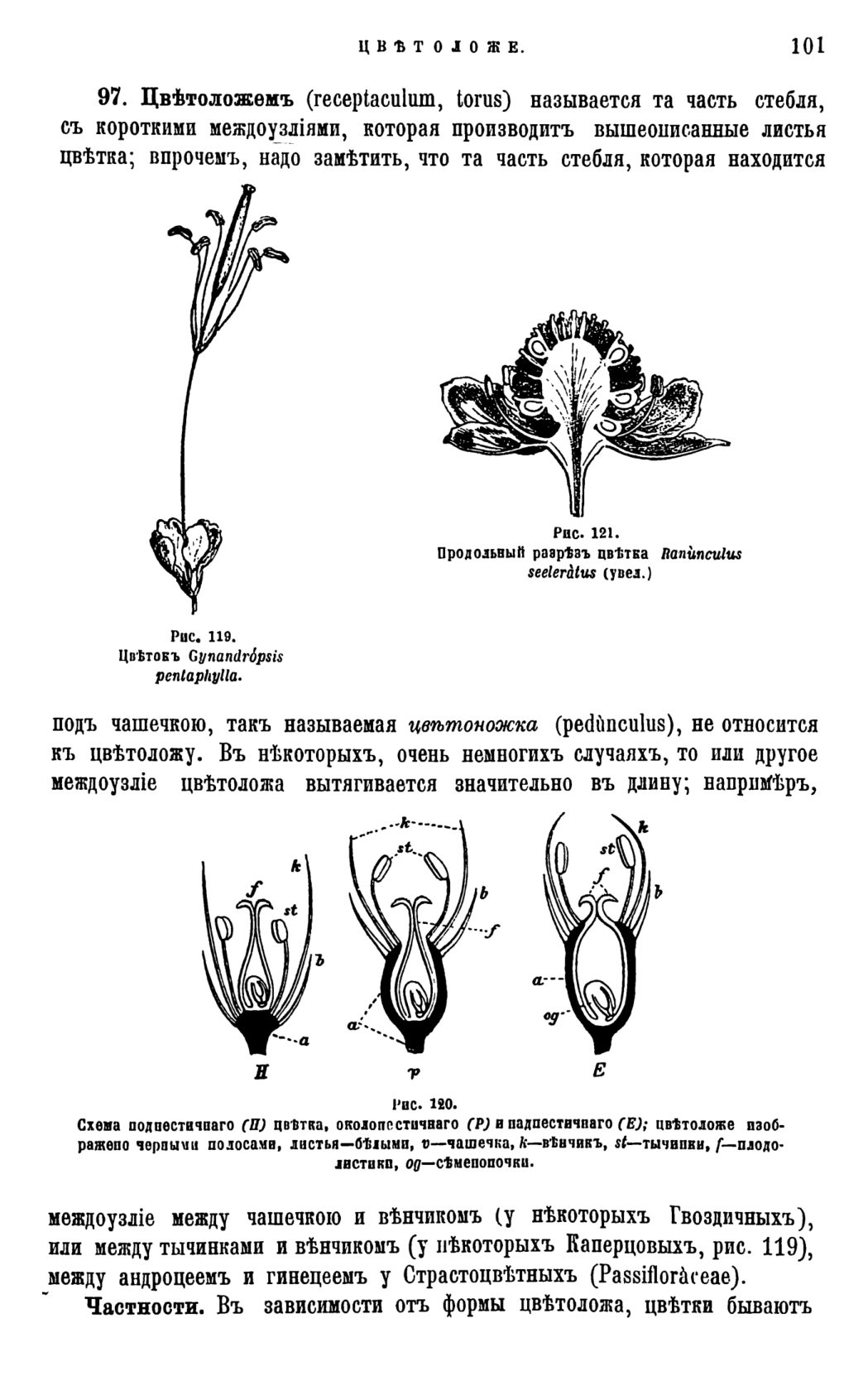 Скан страницы 104 книги «Систематика растений. Часть 1»