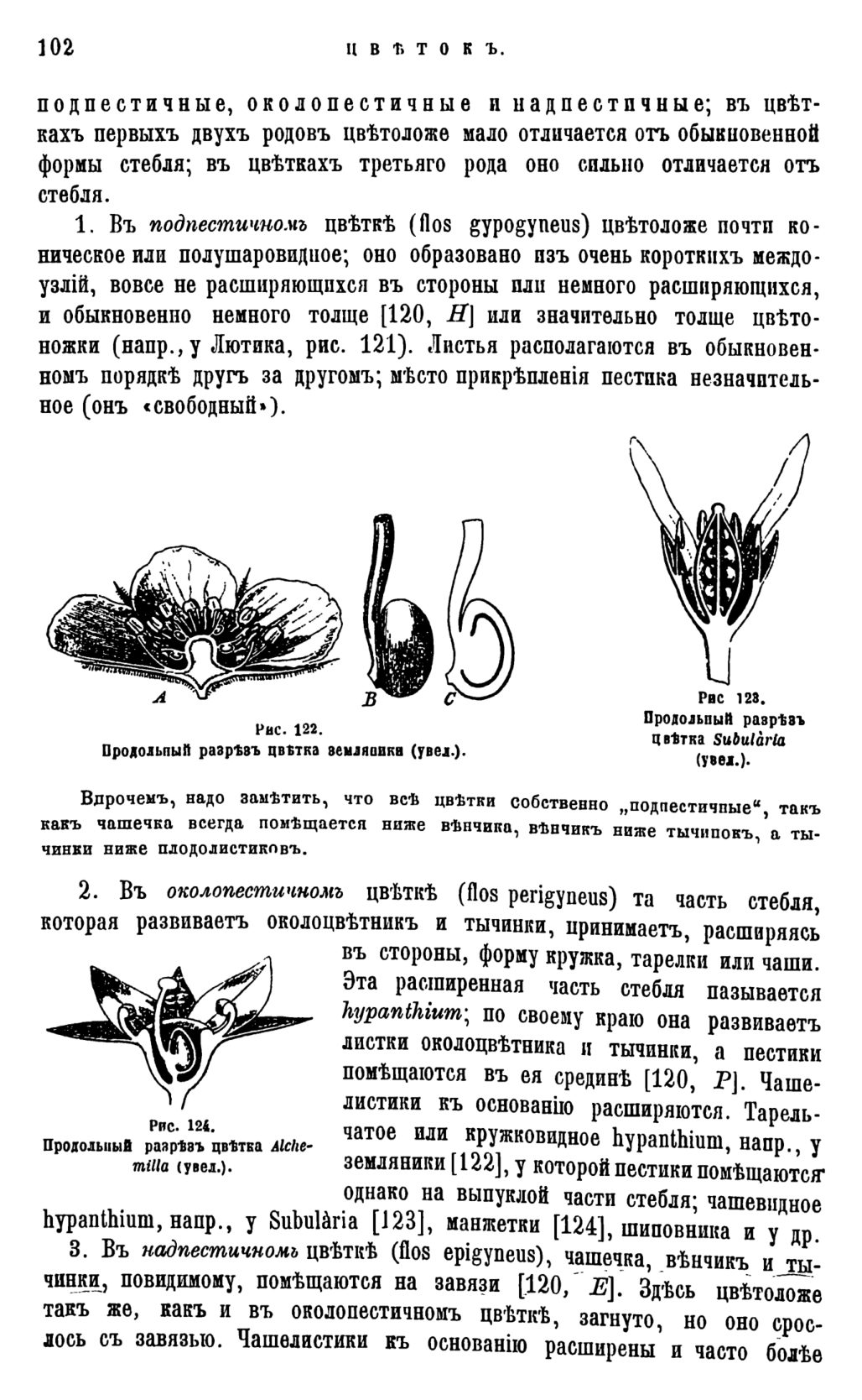Скан страницы 105 книги «Систематика растений. Часть 1»