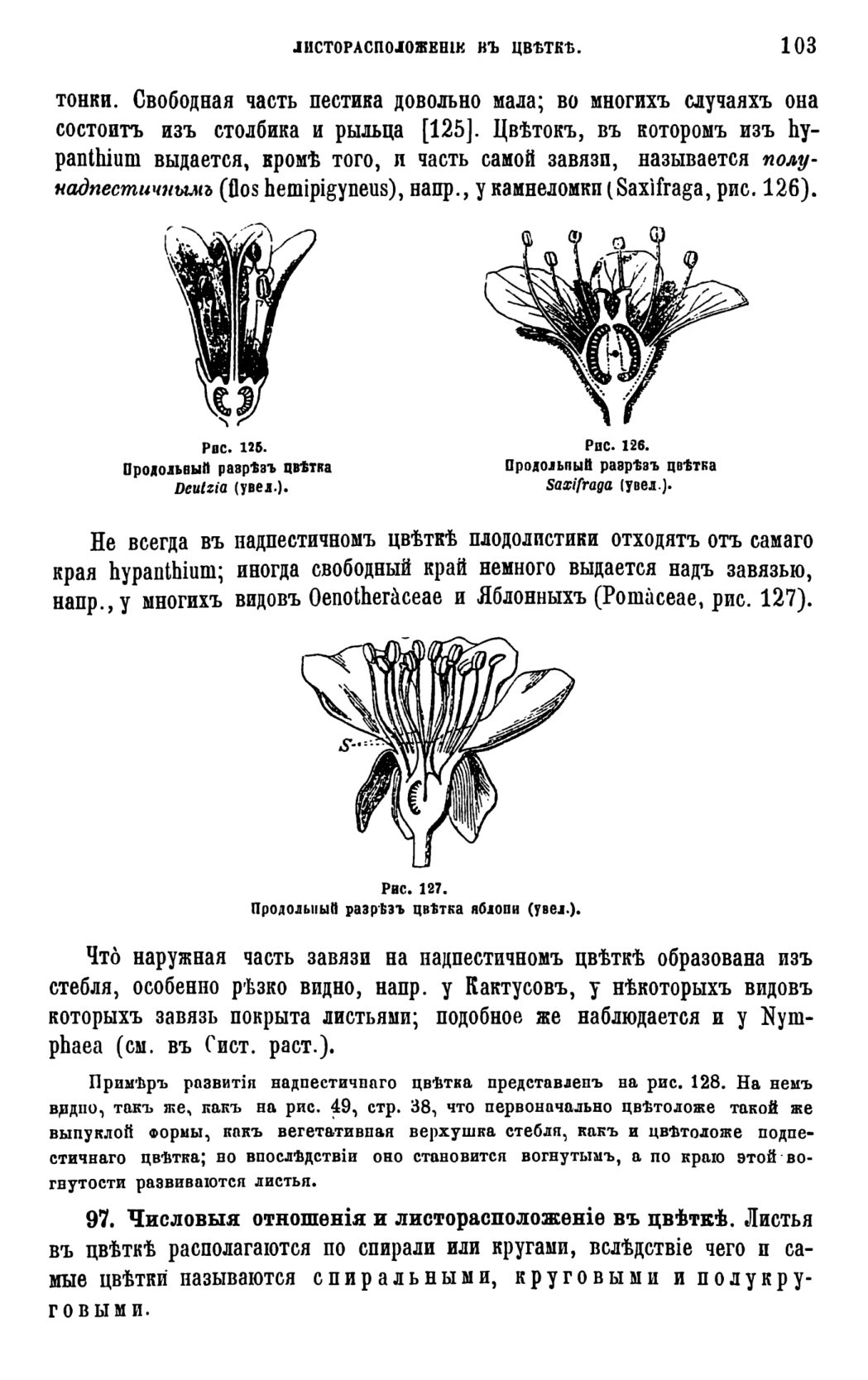 Скан страницы 106 книги «Систематика растений. Часть 1»