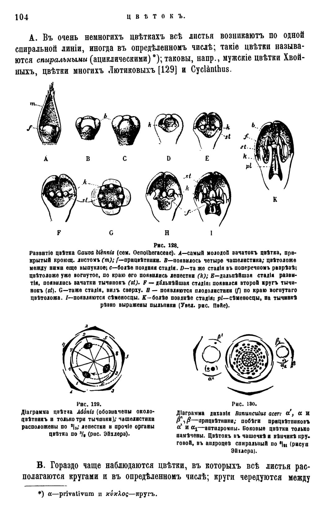 Скан страницы 107 книги «Систематика растений. Часть 1»